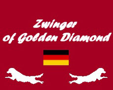 Zwinger "of Golden Diamond"