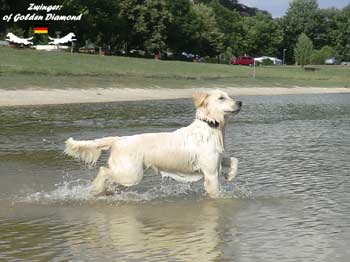 Madame beim Anbaden.