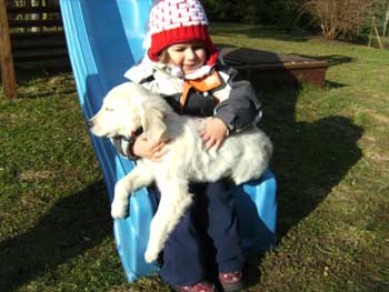 Unser Familienhund mit unserer Tochter im Garten auf der Rutsche (Rutschen kann unsere Dolli auch alleine - auf Befehl)