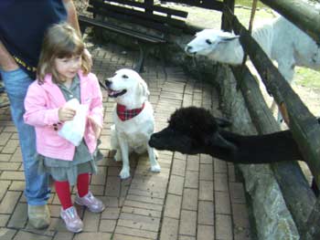 Unsere Familie im Tierpark